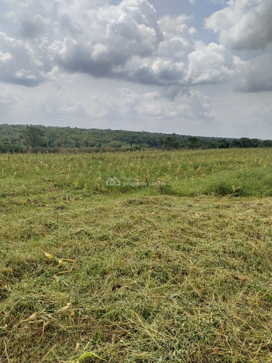 Most Suitable for Agriculture and Agribusiness, Less Than 10 Minutes From The Crescent University, Abeokuta North, Ogun, Land for Sale