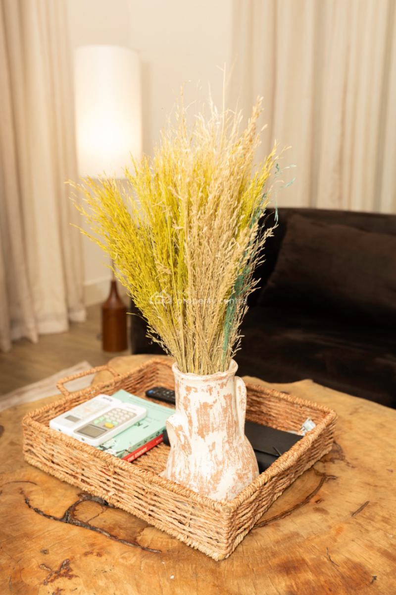 Luxury 2 Bedroom Service Apartment, Westron Close, Lekki Phase 1, Lekki, Lagos, Flat / Apartment Short Let