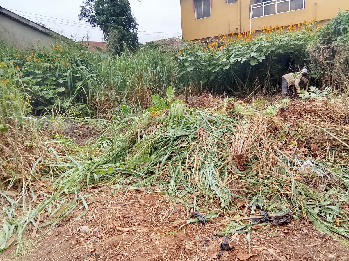 Empty Land Available, Igando, Alimosho, Lagos, Mixed-use Land for Sale