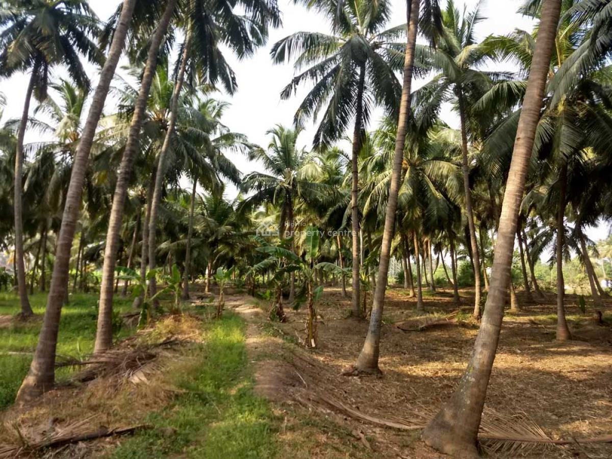 Profitable Coconut Farmland, Adaba Farm and Resort, Owode, Obafemi Owode, Ogun, Commercial Land for Sale