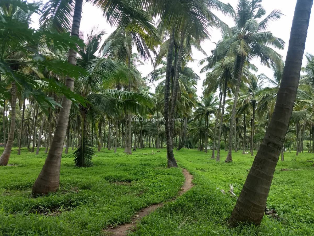 Profitable Coconut Farmland, Adaba Farm and Resort, Owode, Obafemi Owode, Ogun, Commercial Land for Sale
