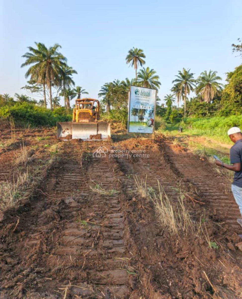 Profitable Coconut Farmland, Adaba Farm and Resort, Owode, Obafemi Owode, Ogun, Commercial Land for Sale