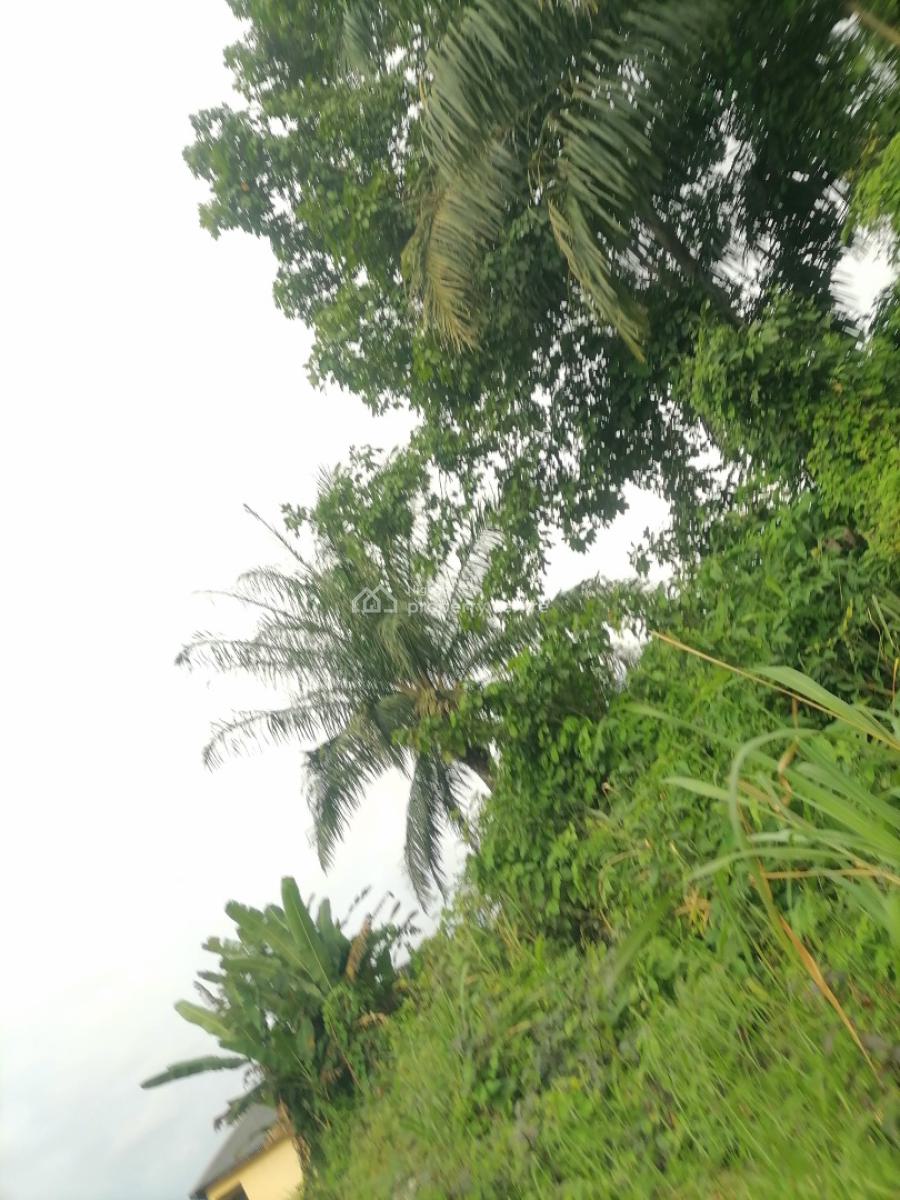 2 Acres of Land with Waterfront, Opete-otokutu Road, Opete, Udu, Delta, Commercial Land for Sale