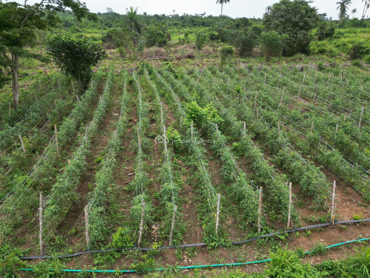 Paradiso Farm 2, Ayireke Village, Via Alabata, Odeda Local Government, Odeda, Ogun, Commercial Land for Sale