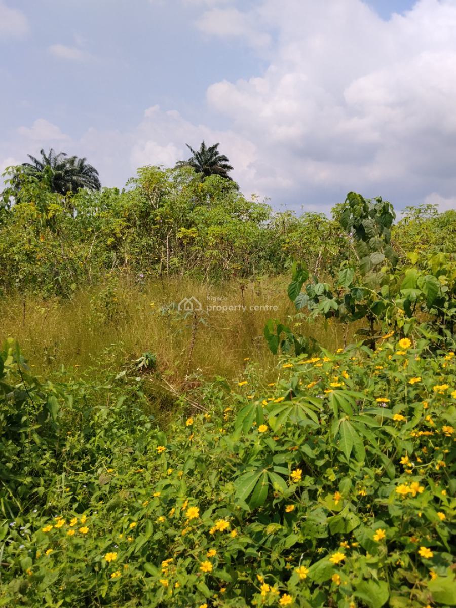 Itura Farm City, Etche, Etche, Rivers, Mixed-use Land for Sale