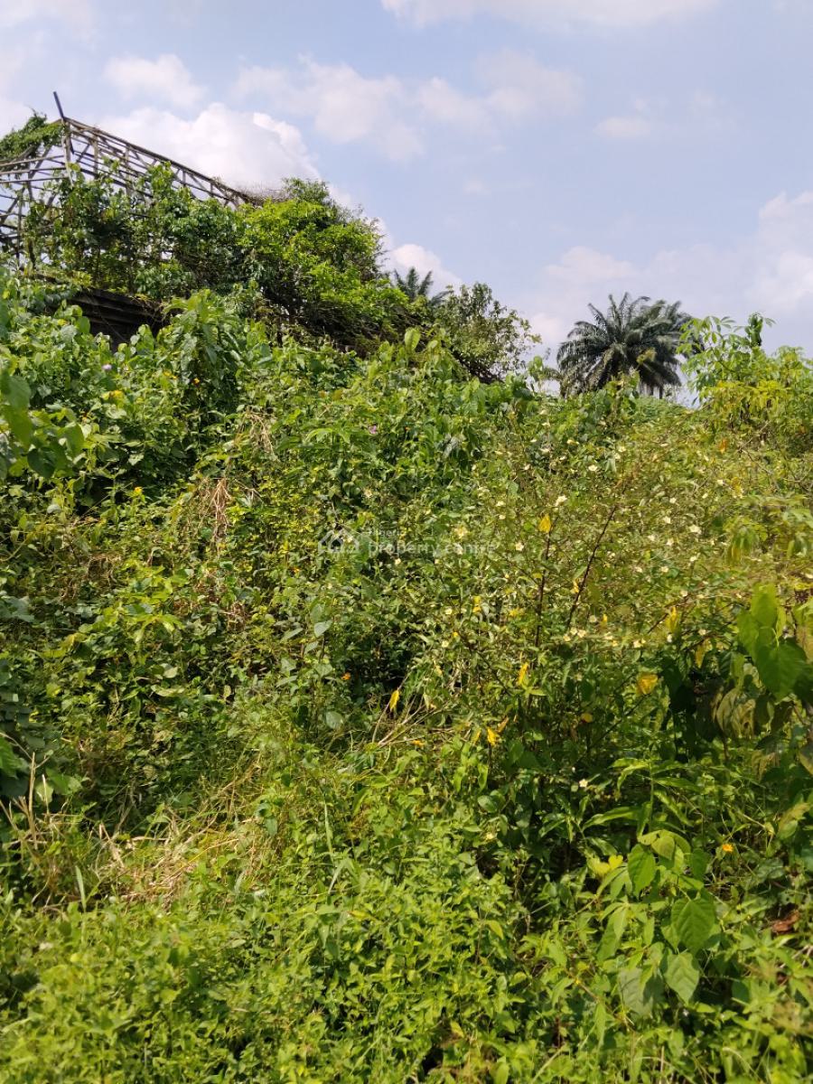 Itura Farm City, Etche, Etche, Rivers, Mixed-use Land for Sale