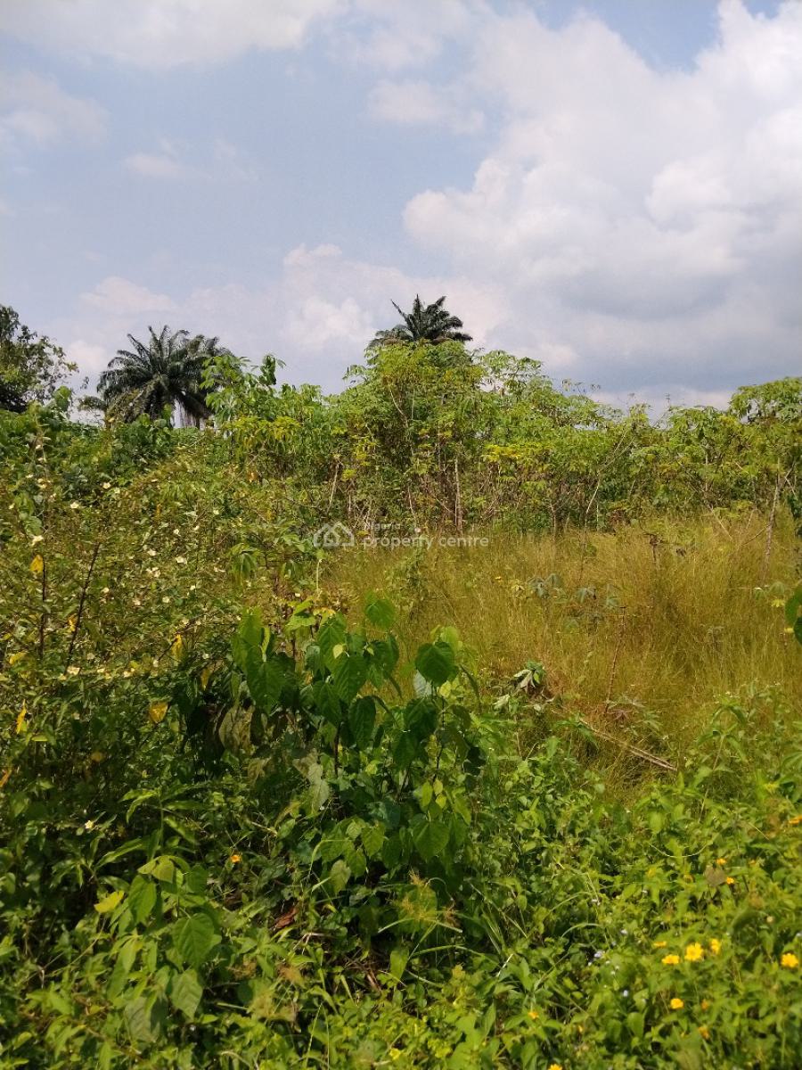 Itura Farm City, Etche, Etche, Rivers, Mixed-use Land for Sale