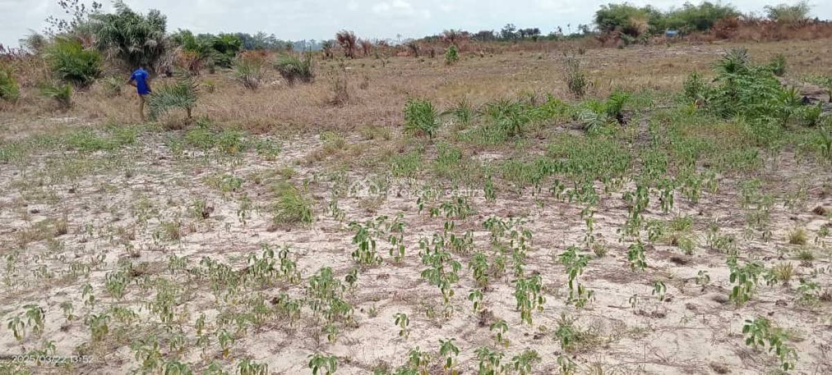 Affordable Land, Otta Ikosi, Otta, Ado-odo/ota, Ogun, Residential Land for Sale