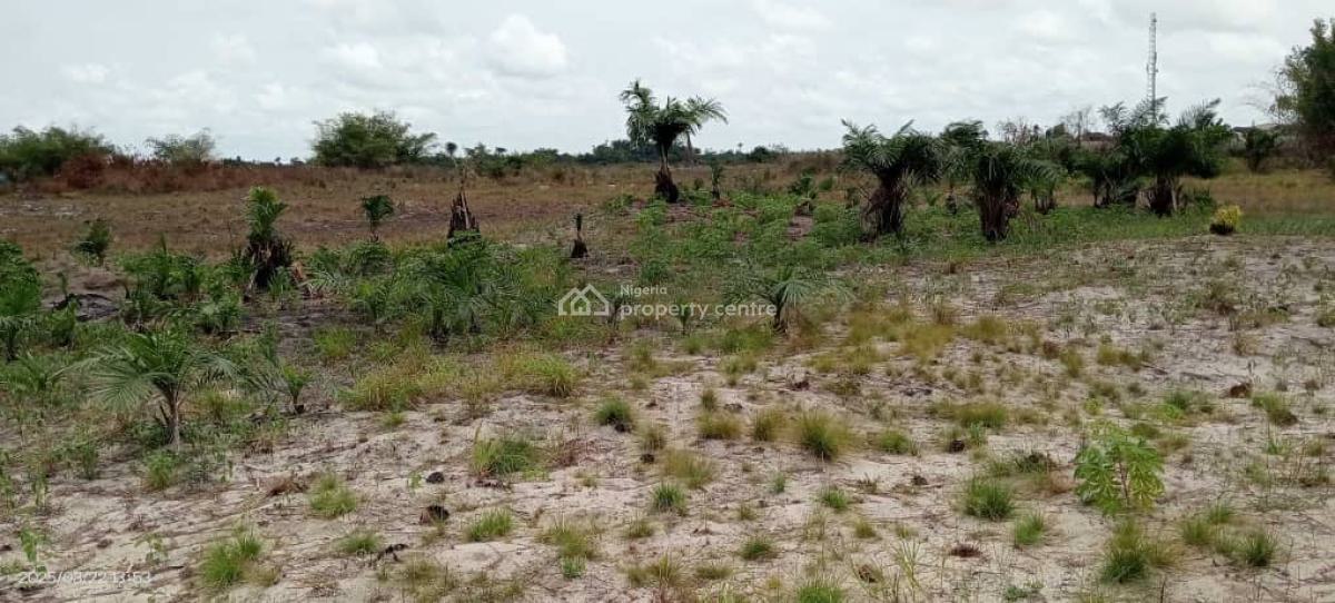 Affordable Land, Otta Ikosi, Otta, Ado-odo/ota, Ogun, Residential Land for Sale