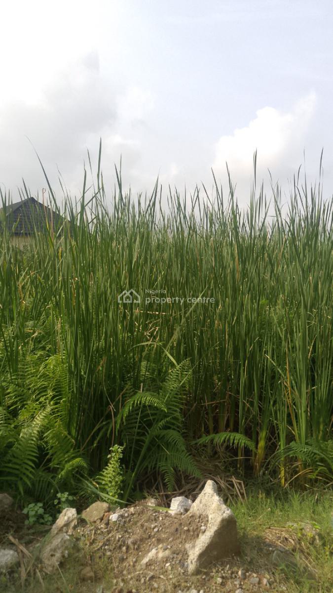 2 Plots Together with Gazette Deed of Assignment and Survey C of O, Road to Oke Ira, Alasia, Ajah, Lagos, Residential Land for Sale