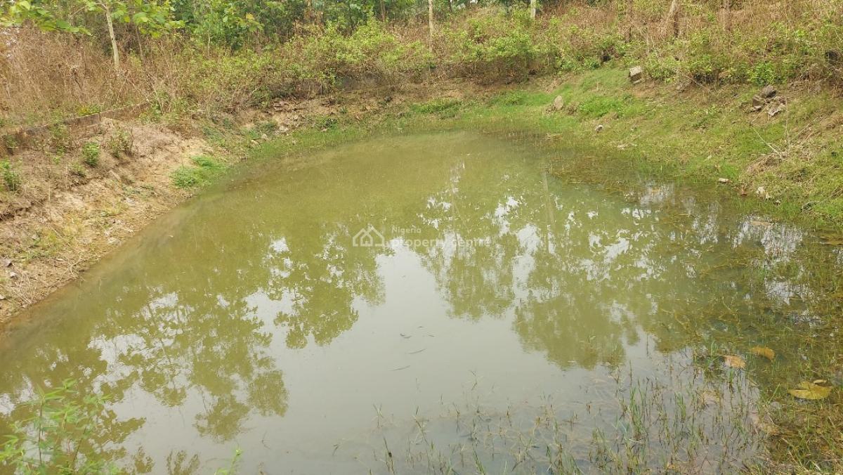 Well Equipped and Functional Modern Farm on 23.15 Hectares, Along Bwari Jere Road, Before Scc Junction, Kagarko, Kaduna, Tank Farm for Sale