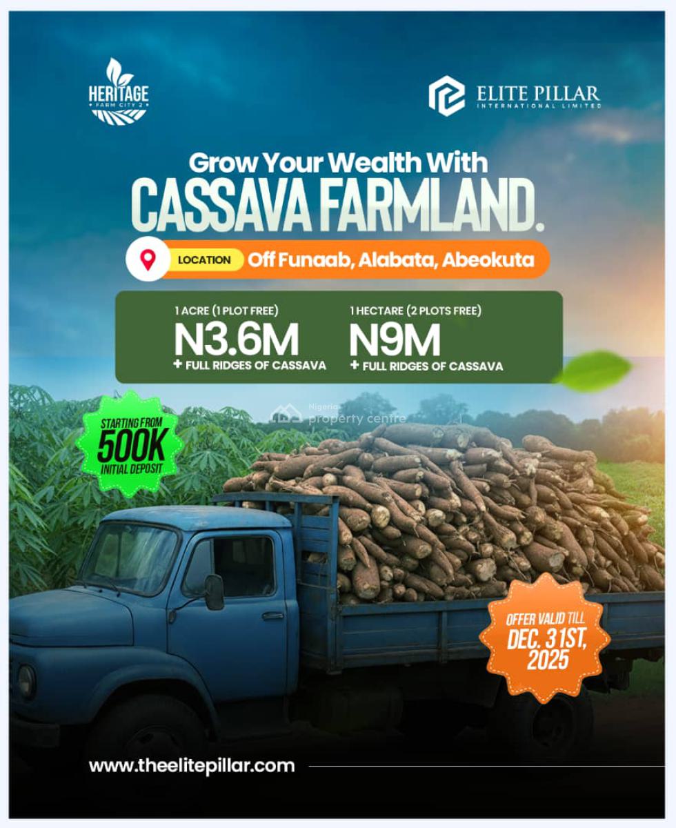 Now You Too Can Make Real, Sustainable Profit From Agriculture, Abeokuta South, Ogun, Mixed-use Land for Sale