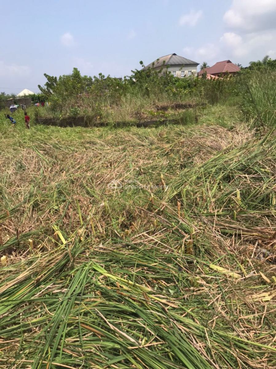 Bare Land of 1214sqm, Badore, Ajah, Lagos, Land for Sale