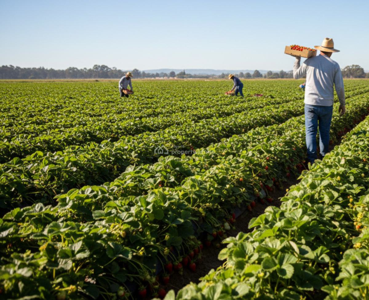 Plots and Acres of Farmlands, Farmlands at Ibara Town, Abeokuta North, Ogun, Land for Sale