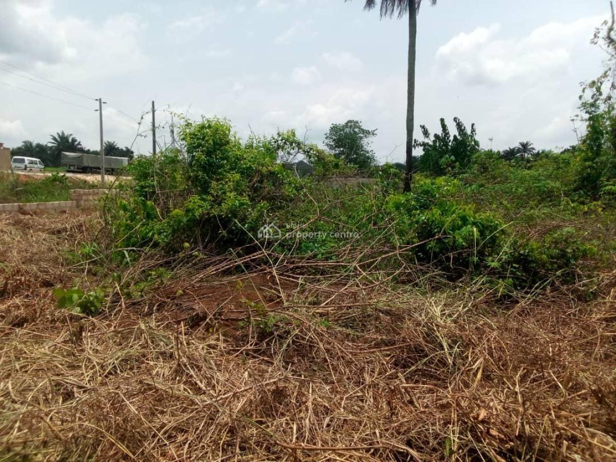 Prime Plots, Owerri/aba Express Road, Ngor Okpala, Imo, Land for Sale