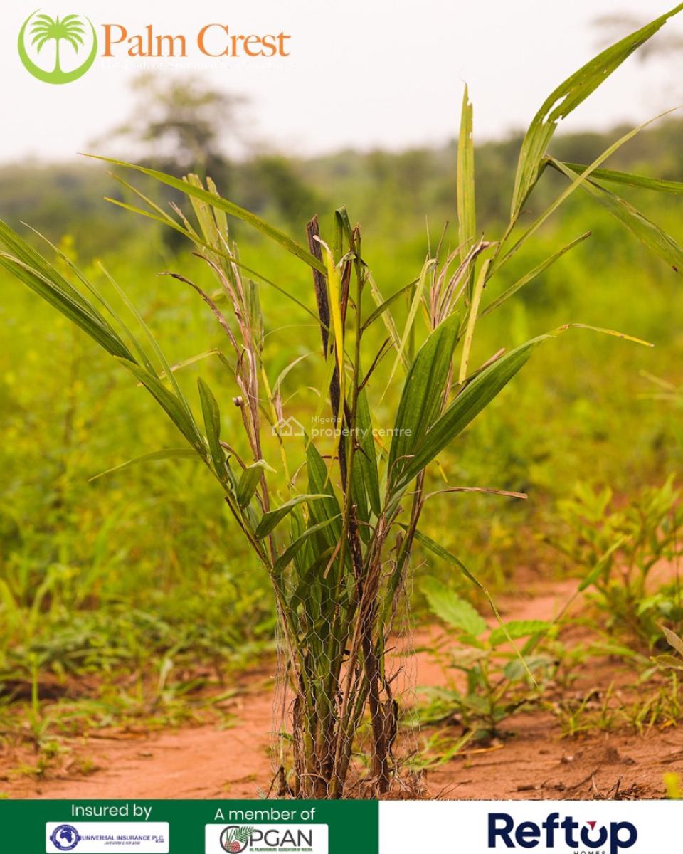 Own Acres& Hectares of Fertile Farmland & Earn From Oil Palm Farming, All Inclusive Offer Which Covers Land Price , Documentation & Planting, Imeko Afon, Ogun, Mixed-use Land for Sale