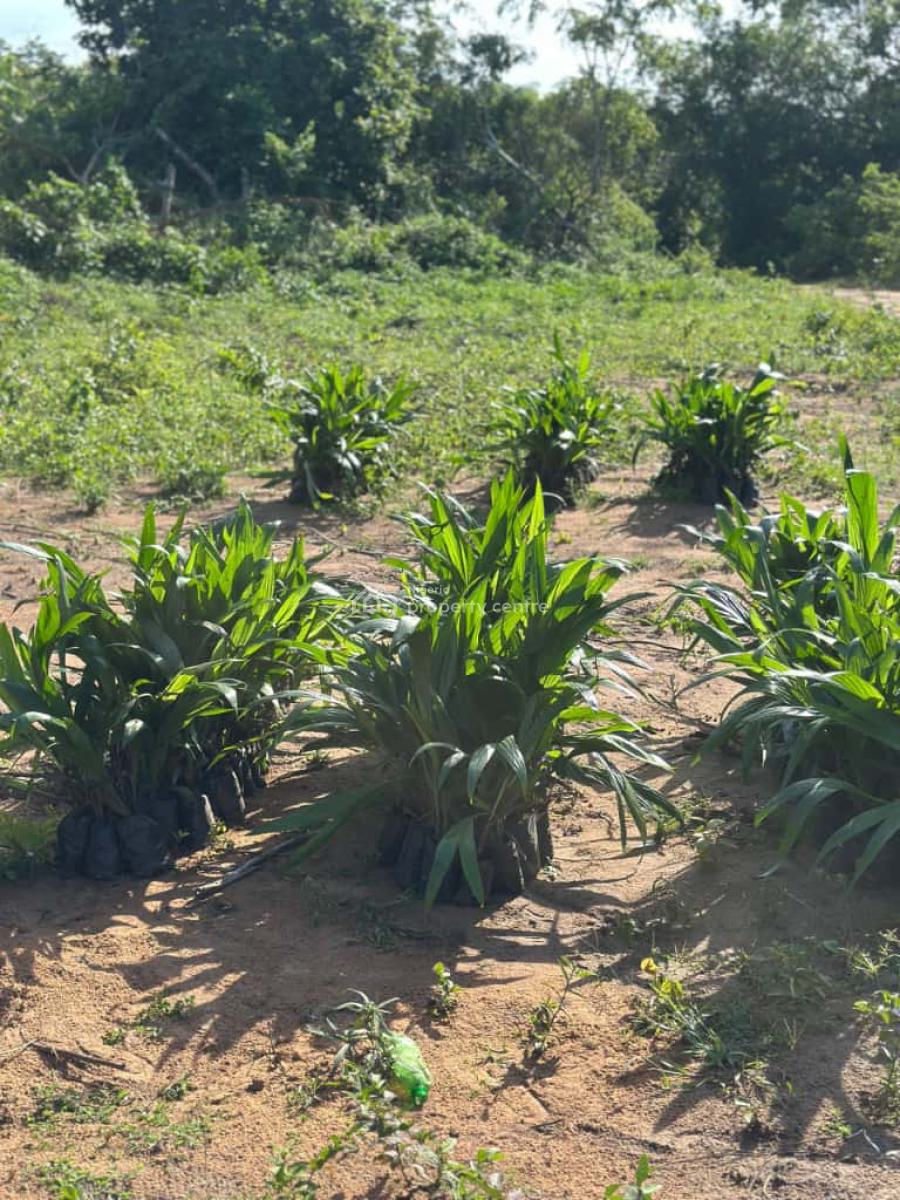 Earn Passive Income Yearly Through Agriculture Farming, Earn 5million Annually Through Agriculture, Abeokuta North, Ogun, Mixed-use Land for Sale