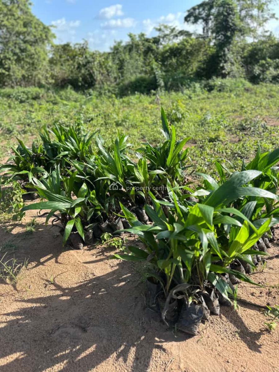 Earn Passive Income Yearly Through Agriculture Farming, Earn 5million Annually Through Agriculture, Abeokuta North, Ogun, Mixed-use Land for Sale