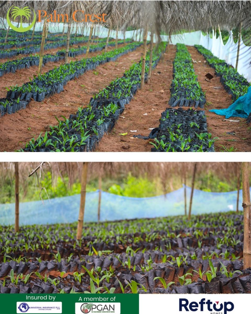 Own Acres& Hectares of Fertile Farmland & Earn From Oil Palm Farming, All Inclusive Offer Which Covers Land Price, Documentation & Planting, Imeko Afon, Ogun, Mixed-use Land for Sale