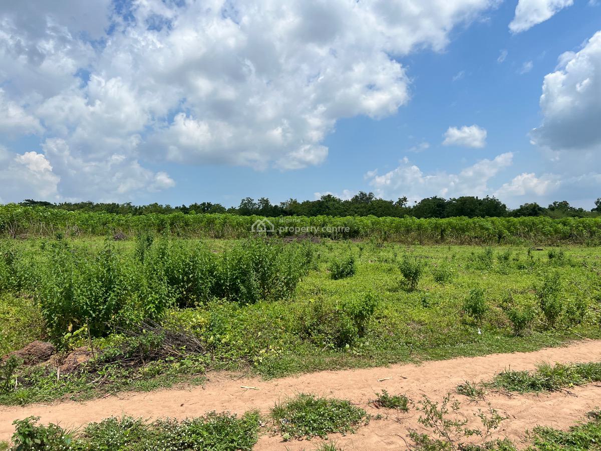 Own a Fertile Farmland & Also Earn From Agriculture Without Stress, 5 Acres of Fertile Farmland  for Crop Farming & Animal Husbandry, Abeokuta North, Ogun, Mixed-use Land for Sale