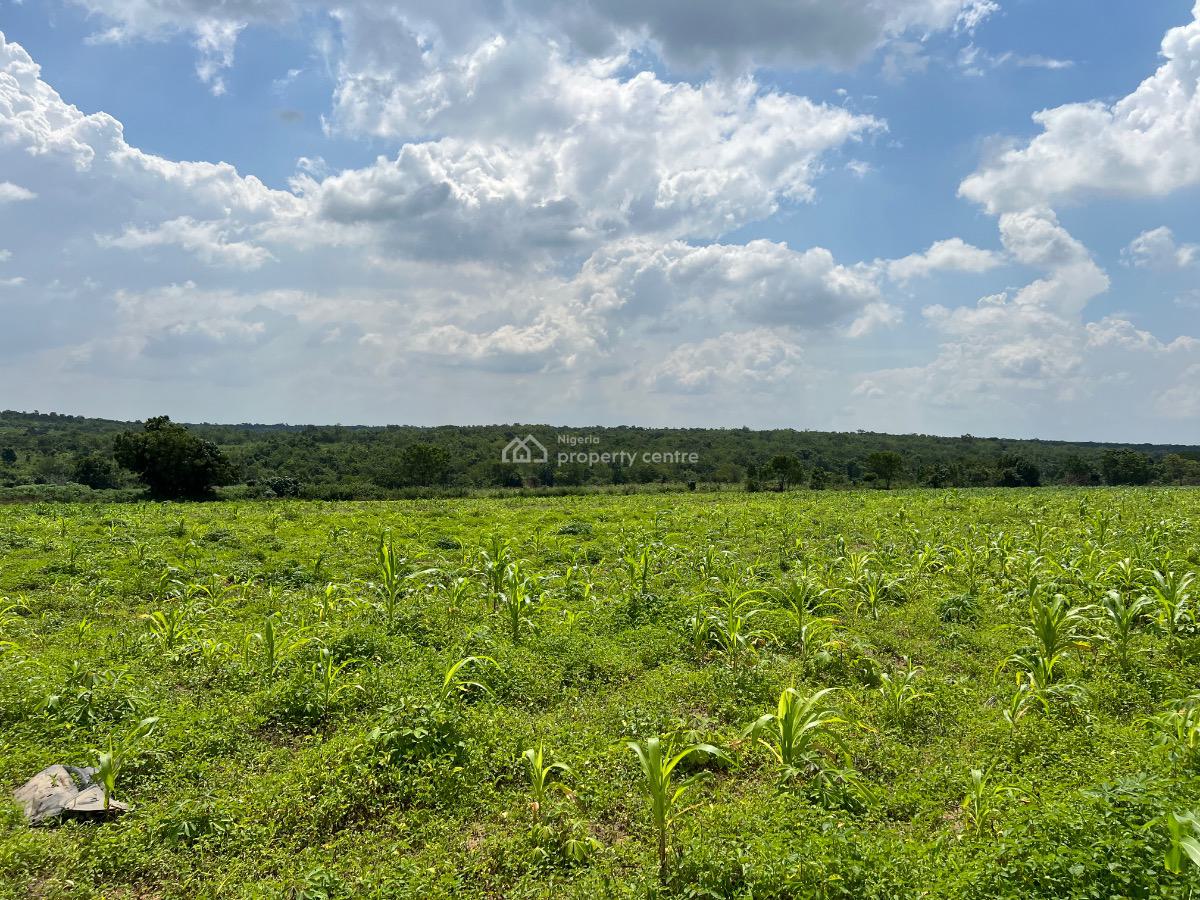 Own a Fertile Farmland & Also Earn From Agriculture Without Stress, 5 Acres of Fertile Farmland  for Crop Farming & Animal Husbandry, Abeokuta North, Ogun, Mixed-use Land for Sale