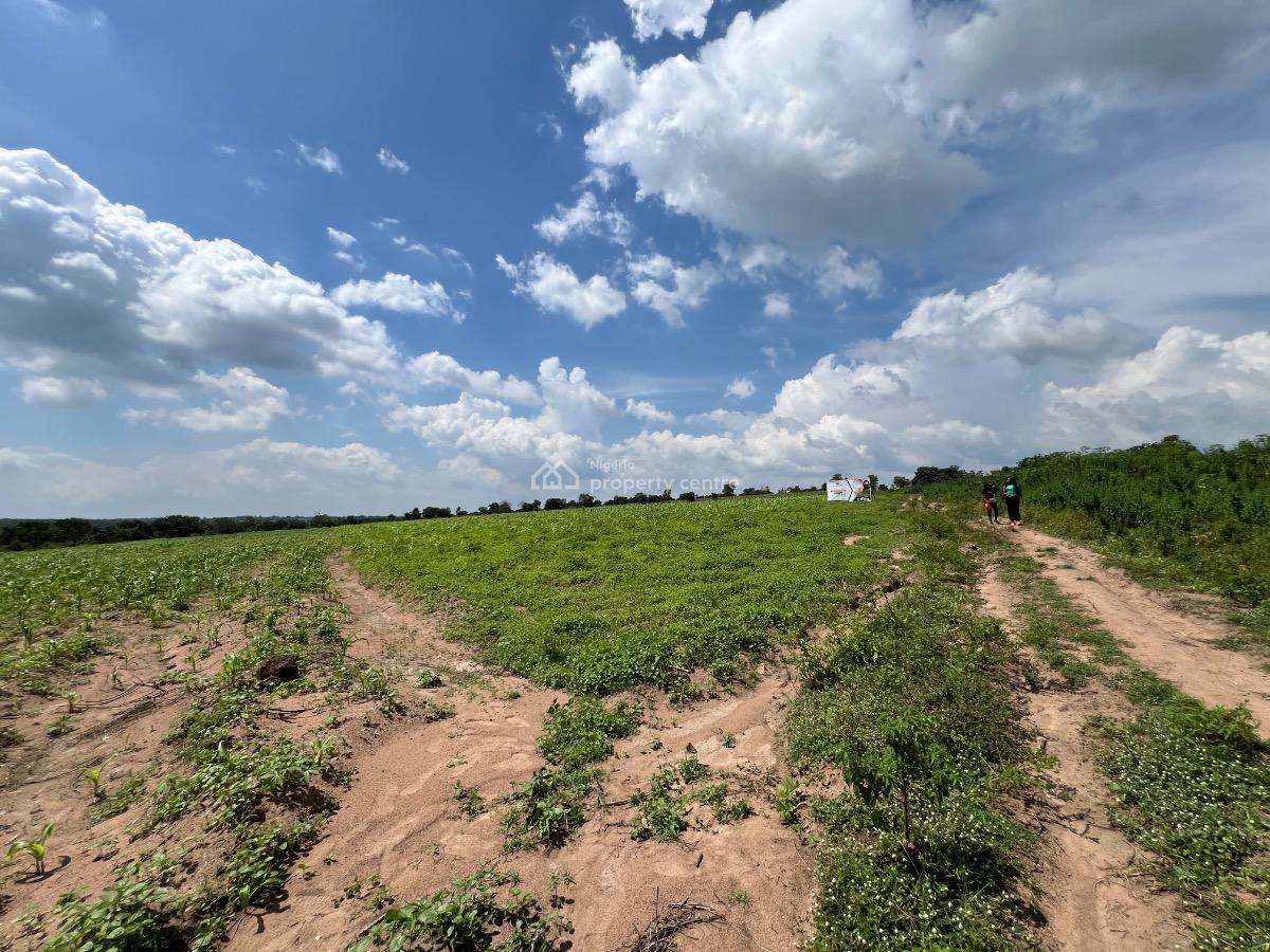 Own a Fertile Farmland & Also Earn From Agriculture Without Stress, 5 Acres of Fertile Farmland  for Crop Farming & Animal Husbandry, Abeokuta North, Ogun, Mixed-use Land for Sale