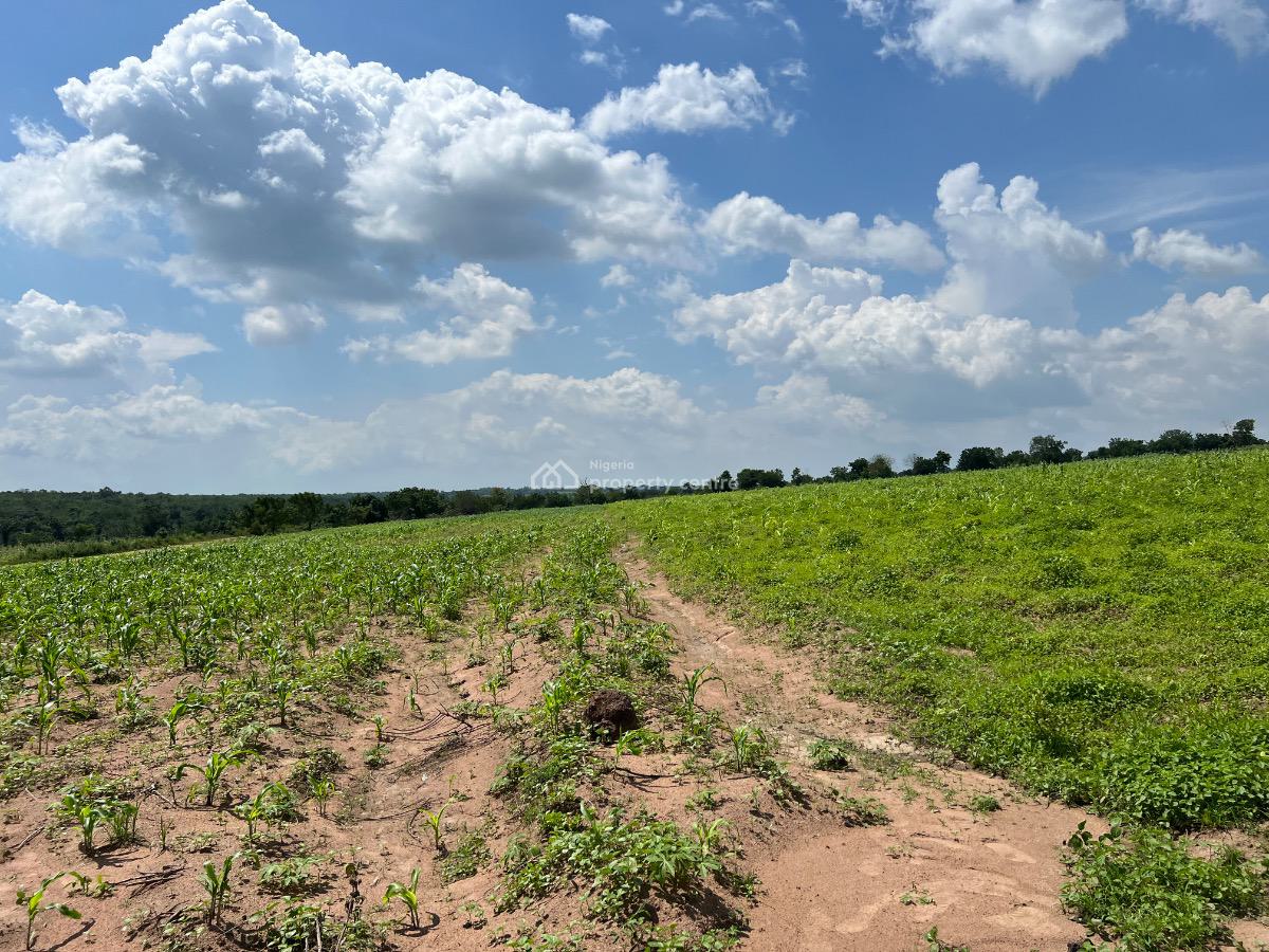 Own a Fertile Farmland & Also Earn From Agriculture Without Stress, 5 Acres of Fertile Farmland  for Crop Farming & Animal Husbandry, Abeokuta North, Ogun, Mixed-use Land for Sale