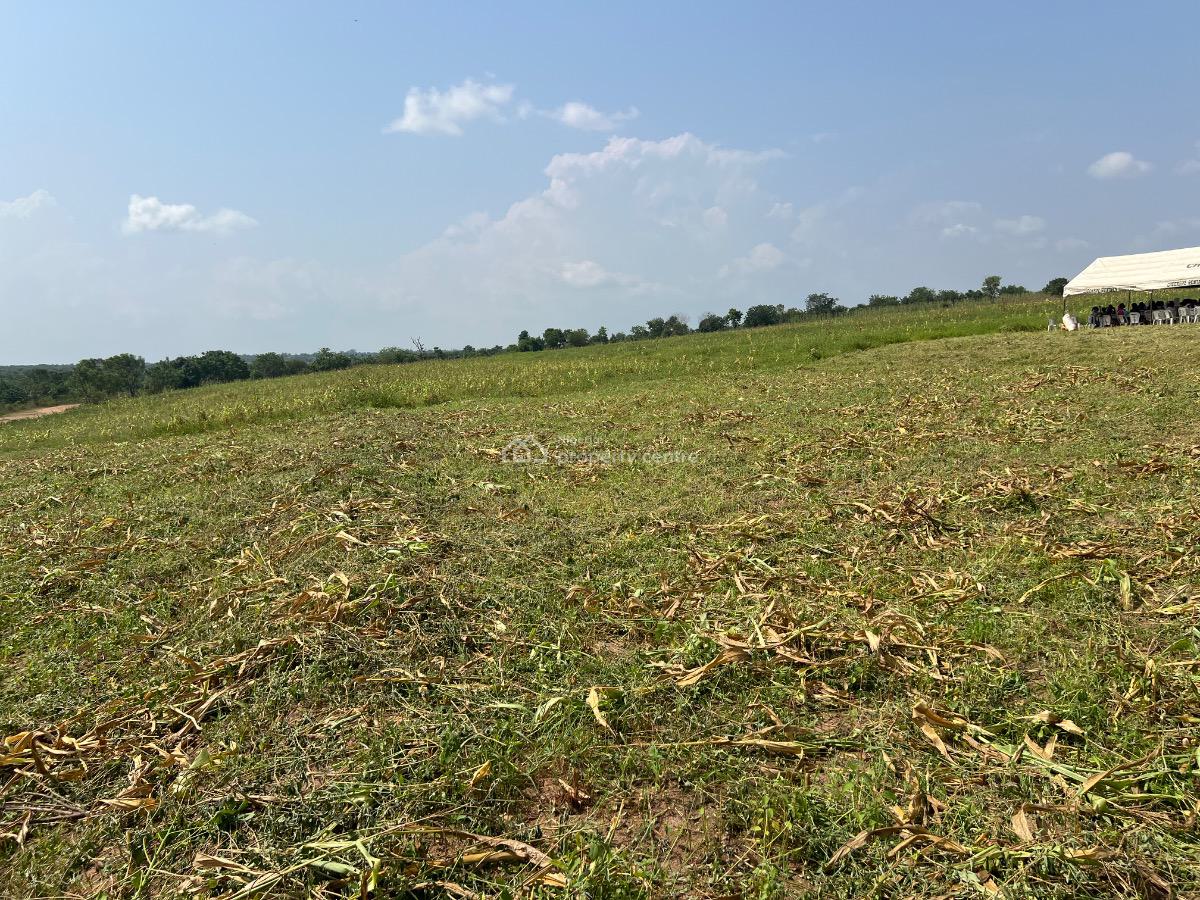 Own Acres & Hectares of Land in a Prime Area Suitable for Agriculture, Make Over 5million From Cocoa and Plaintain Farming , Ofuape, Abeokuta North, Ogun, Mixed-use Land for Sale