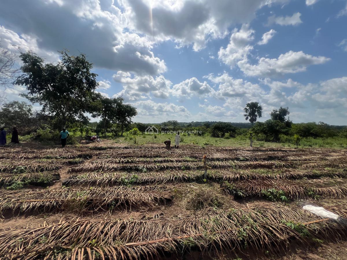 Affordable Farmland with No Extra Fees Suitable for Oilpalm Farming, Secure an Acre with  Initial Deposit .own The Land & Earn From Oilpalm, Imeko Afon, Ogun, Mixed-use Land for Sale