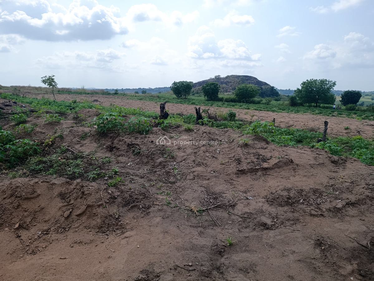 1 Acre of Farm with C of O, Located at Ado-awaye Oyo Along The Road, Ibadan, Oyo, Mixed-use Land for Sale