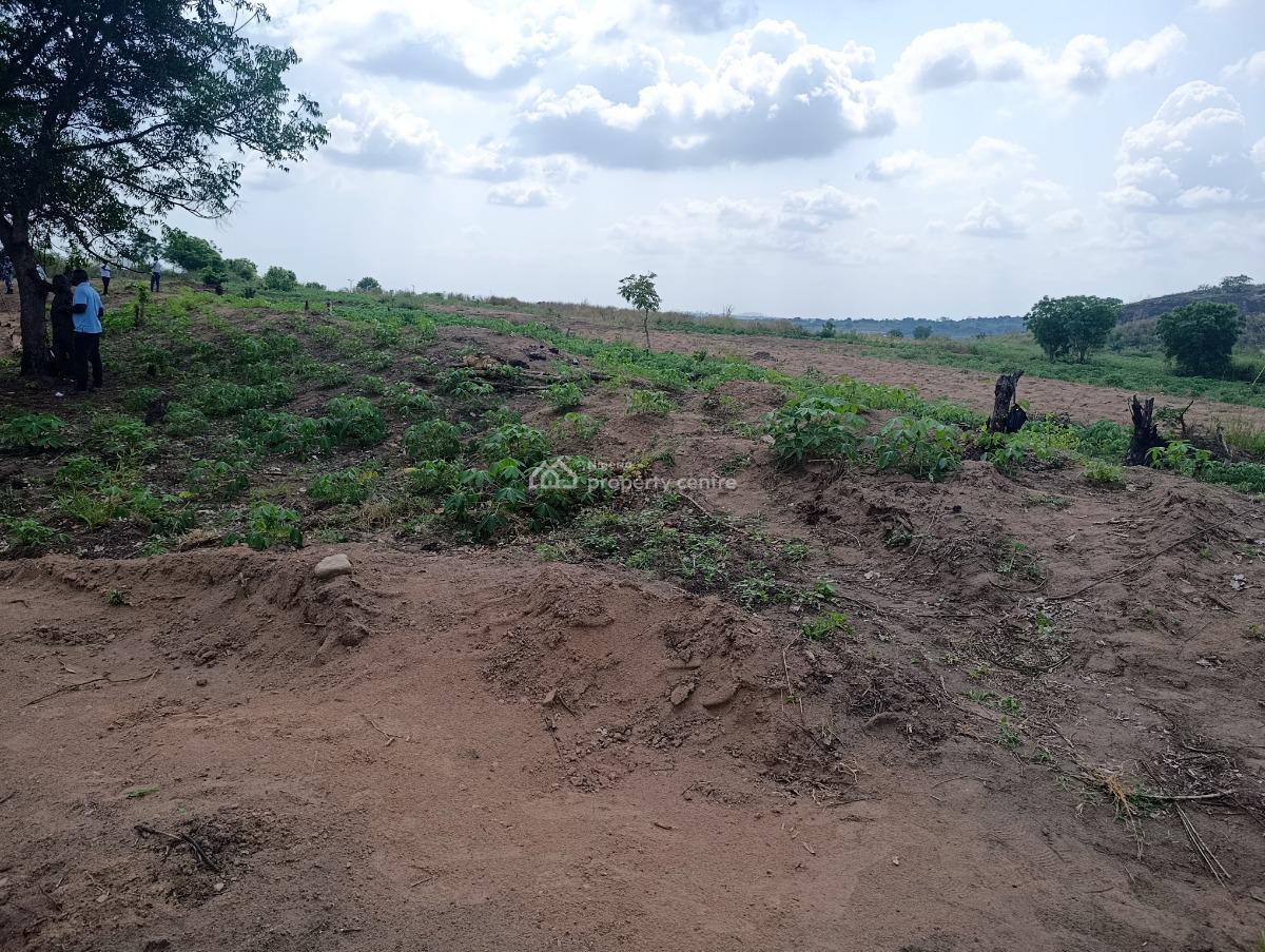 1 Acre of Farm with C of O, Located at Ado-awaye Oyo Along The Road, Ibadan, Oyo, Mixed-use Land for Sale