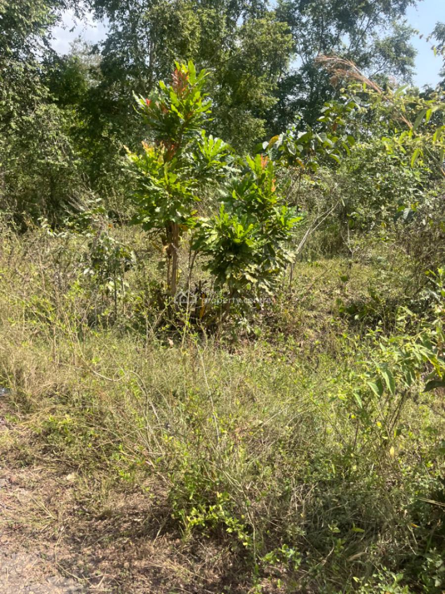 250 Acres of Farm Land in a Peaceful Village, Tapa Village Via Kugba Village Odeda Local Government, Odeda, Ogun, Commercial Land for Sale