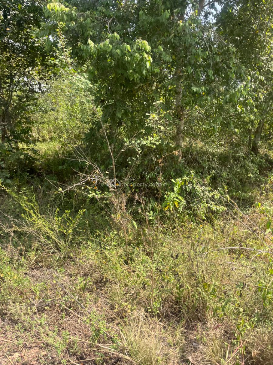 250 Acres of Farm Land in a Peaceful Village, Tapa Village Via Kugba Village Odeda Local Government, Odeda, Ogun, Commercial Land for Sale