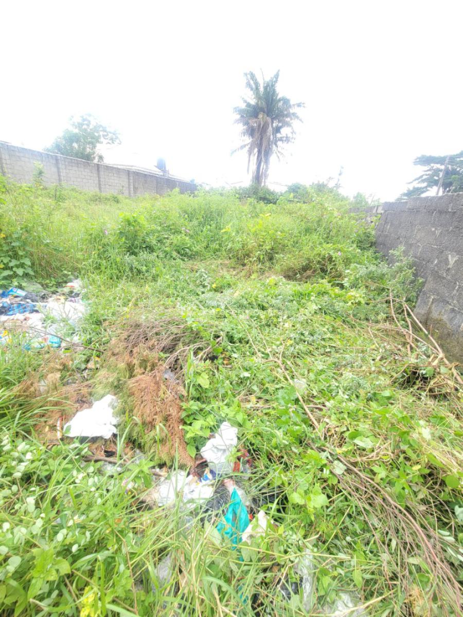a Full Plot of Land, Oke Ira Nla, Ado Road, Ajah, Lagos, Mixed-use Land for Sale