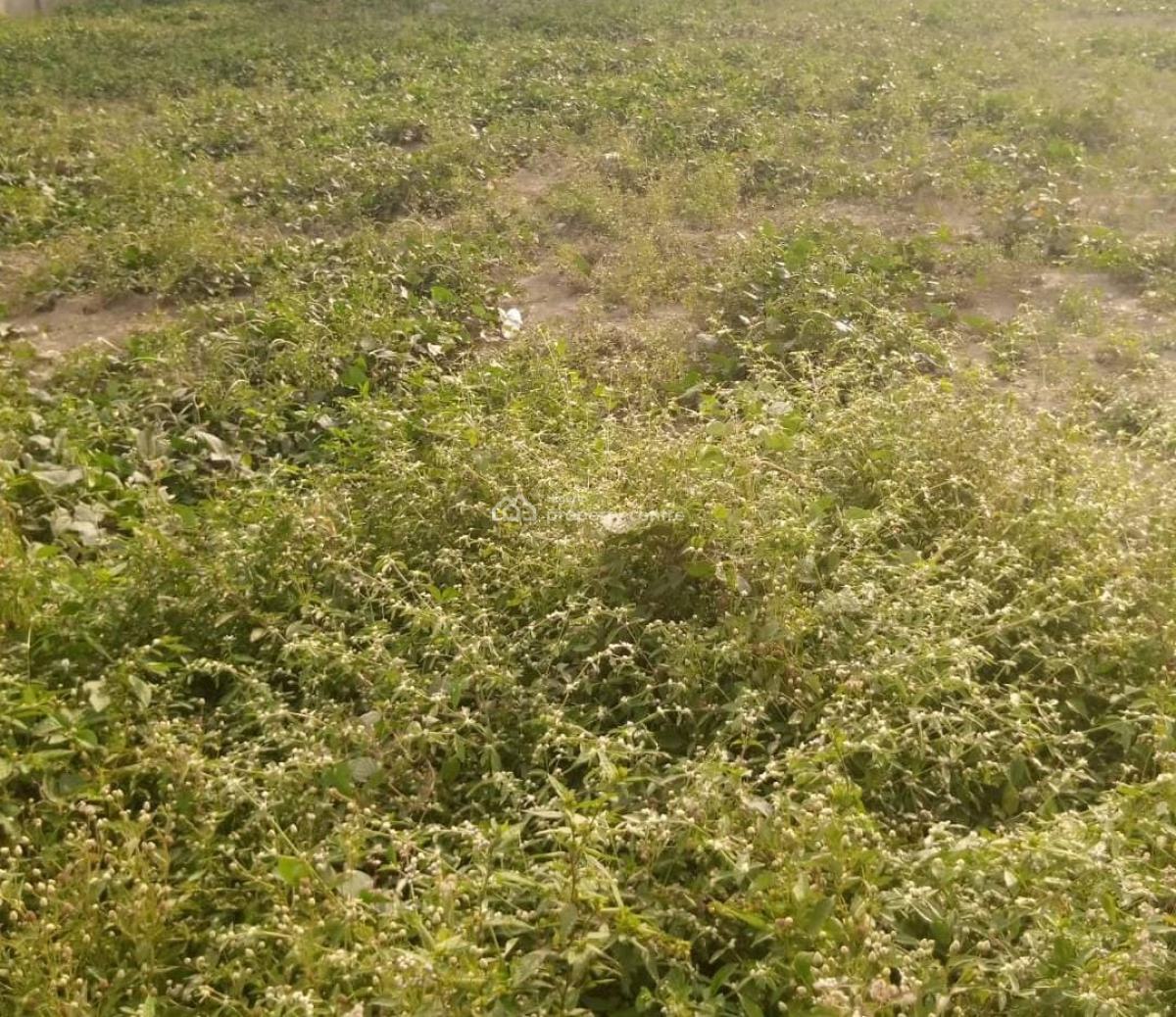 Half Plot of Land, Ajagbandi, Ojo, Lagos, Residential Land for Sale