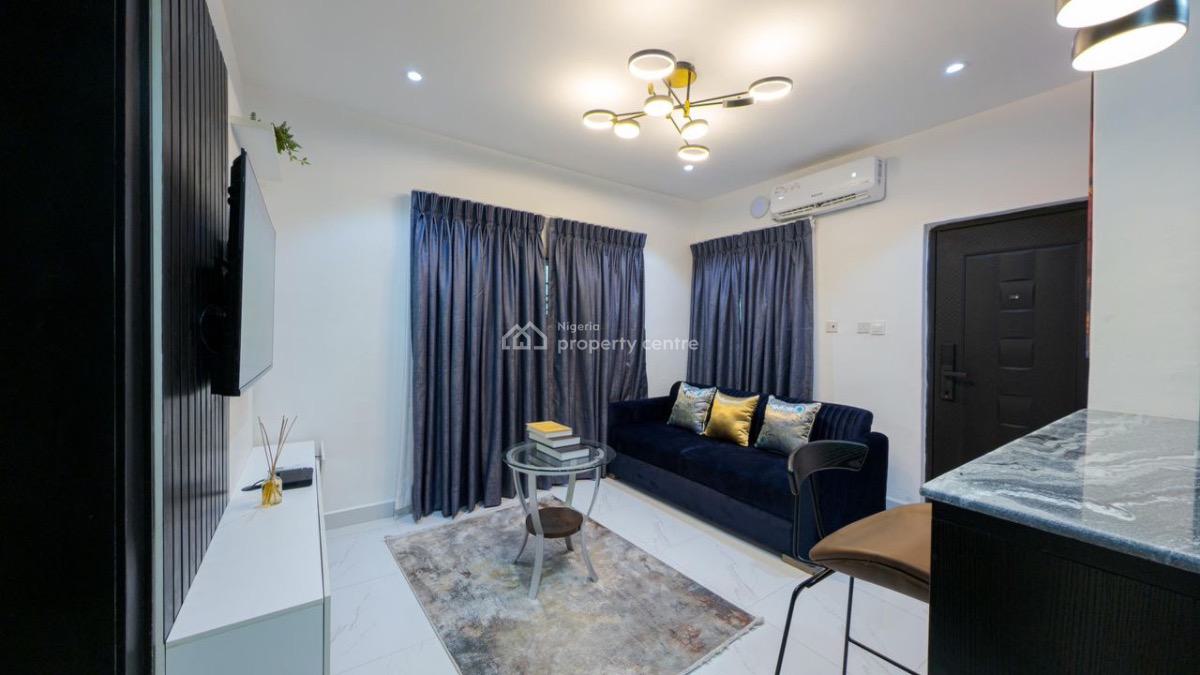 New Luxurious 1 Bedroom, Professor Kiumi Akingbehin, Lekki Phase 1, Lekki, Lagos, Flat / Apartment Short Let