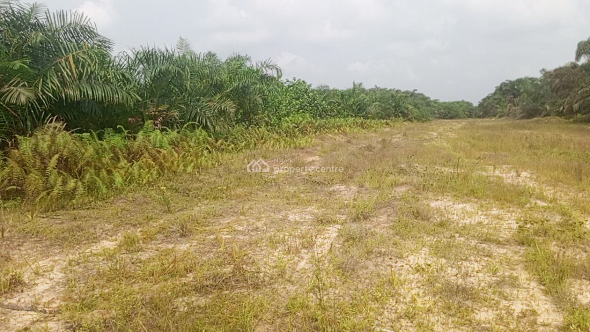 Most Affordable Land Strategically Located, Ibile City & Resort Imota, Ikorodu, Abeokuta North, Ogun, Mixed-use Land for Sale