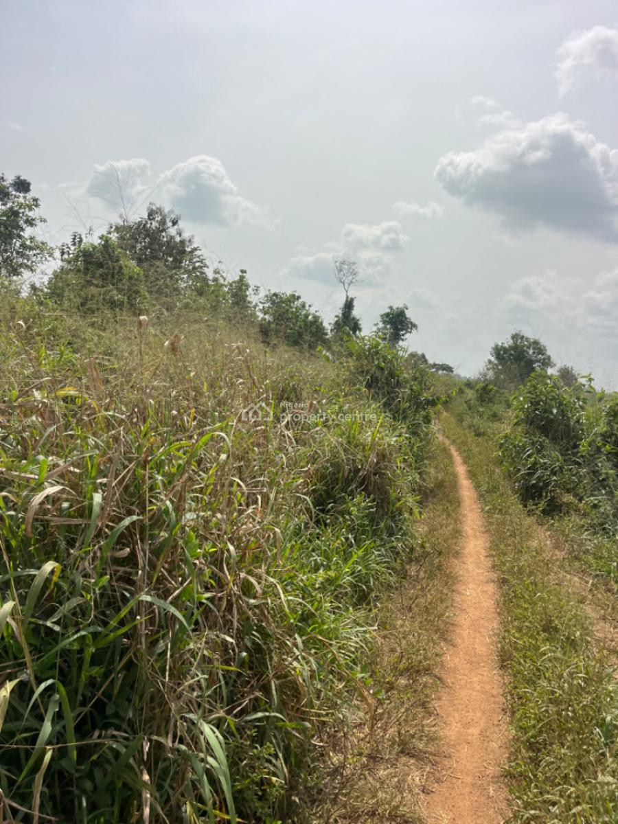 100 Acres of Farm Land with C of O, Osu Village, Odeda, Ogun, Commercial Land for Sale