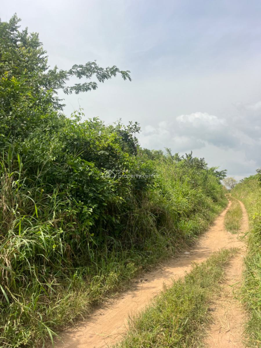 100 Acres of Farm Land with C of O, Osu Village, Odeda, Ogun, Commercial Land for Sale