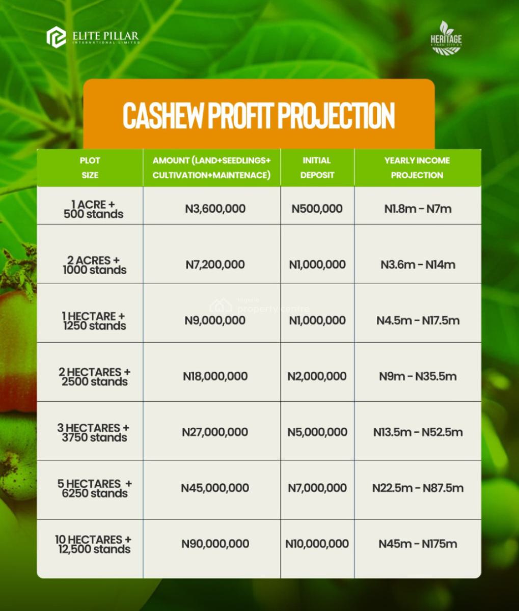 The Secret to Passive Income? Its Right Here., Abeokuta South, Ogun, Residential Land for Sale