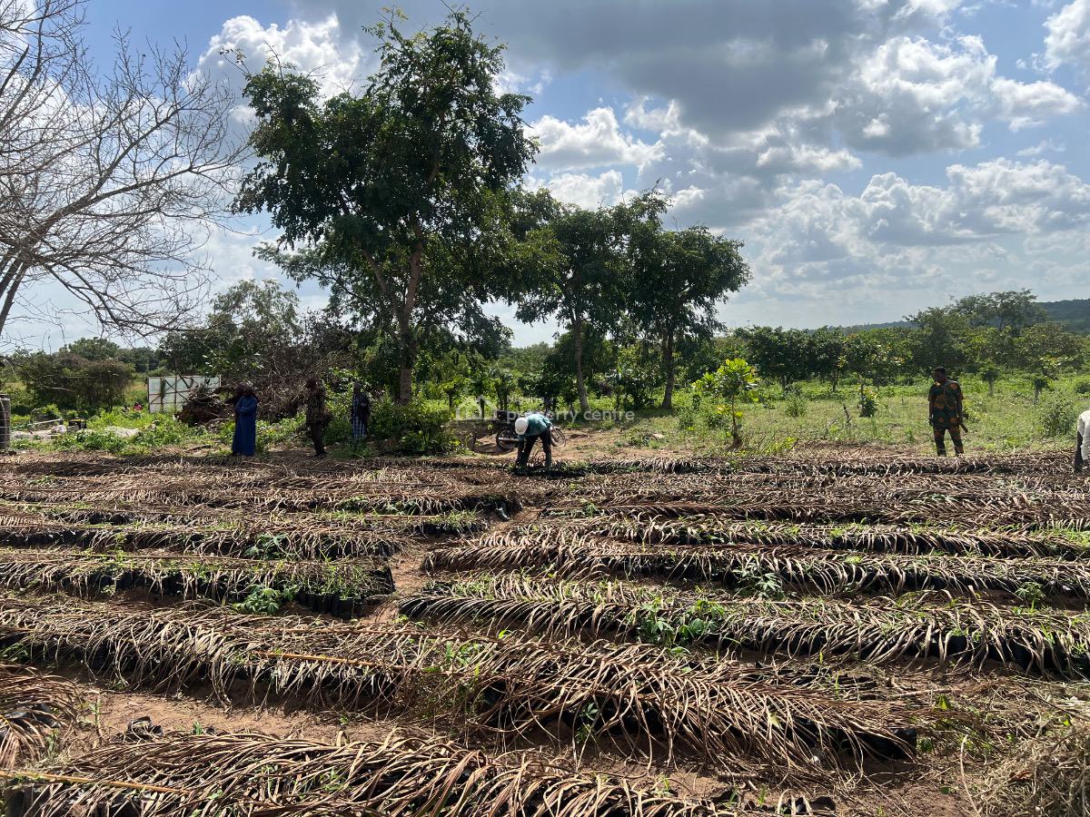 Key Into  an Acre of Our Fertile Farmland and Get 60 Free Palm Trees, Own The Land and Earn From Oil Palm Farming . No Extra Fees Required, Imeko Afon, Ogun, Mixed-use Land for Sale