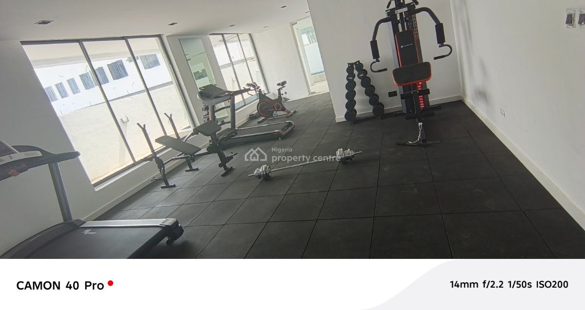 Newly Built Standard 2 Bedroom Flat, Ikate, Lekki, Lagos, Flat / Apartment for Sale