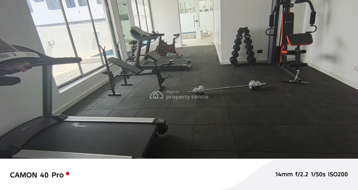 Newly Built Standard 2 Bedroom Flat, Ikate, Lekki, Lagos, Flat / Apartment for Sale