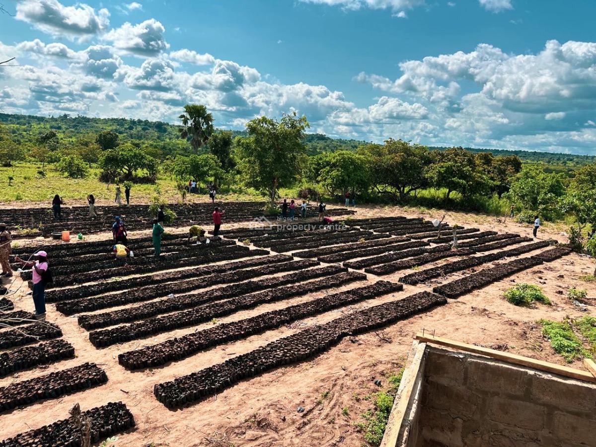 Great Investment Farm Land Acres and Hectares Selling Affordable, Off Afon Road, Imeko Afon, Ogun, Commercial Land for Sale