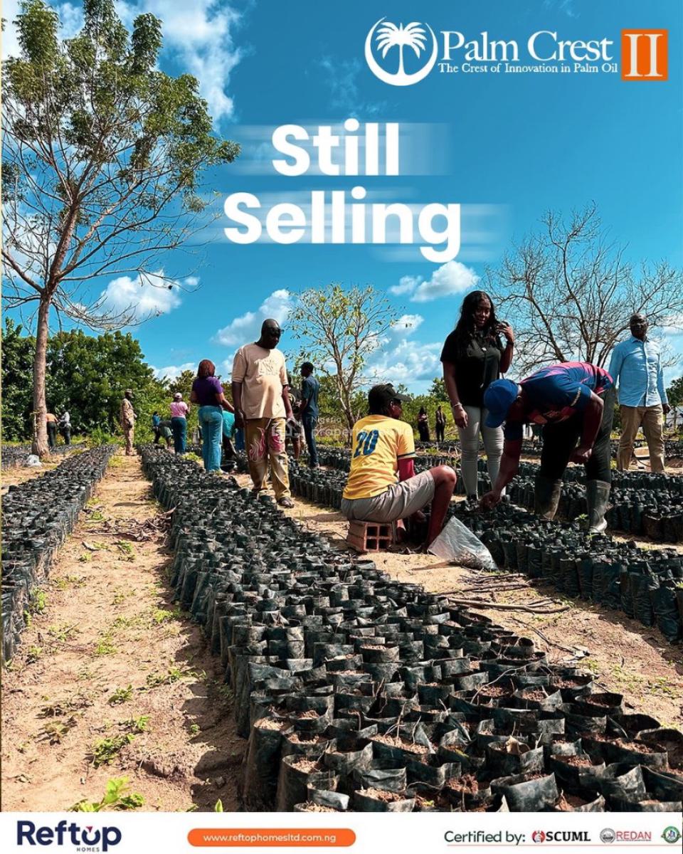 Great Investment Farm Land Acres and Hectares Selling Affordable, Off Afon Road, Imeko Afon, Ogun, Commercial Land for Sale