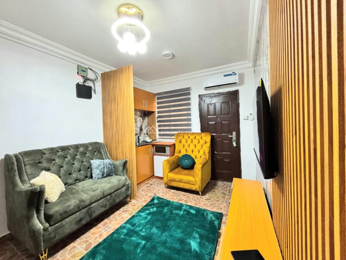 Spacious 1-bedroom Apartment, Itire-ikate, Surulere, Lagos, Mini Flat (room and Parlour) for Rent