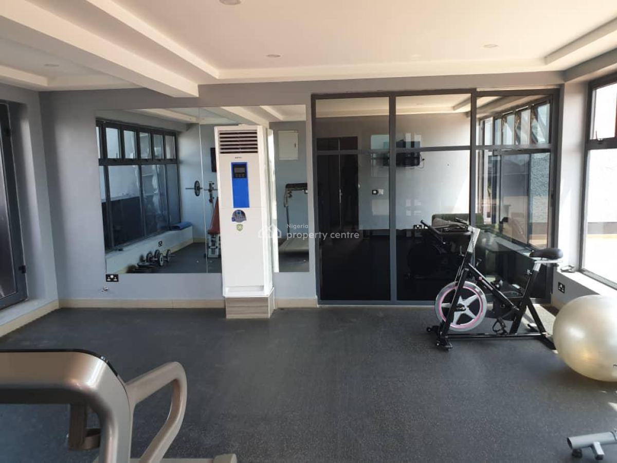 Exquisitely Furnished 2 Bedroom Apartment, Ikate, Lekki Phase 1, Lekki, Lagos, Flat / Apartment for Rent