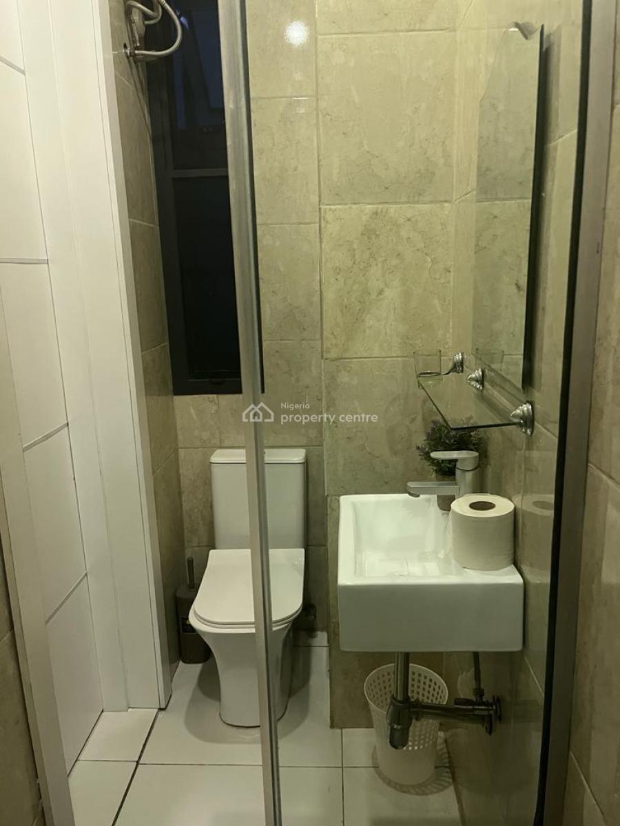 Exquisitely Furnished 2 Bedroom Apartment, Ikate, Lekki Phase 1, Lekki, Lagos, Flat / Apartment for Rent