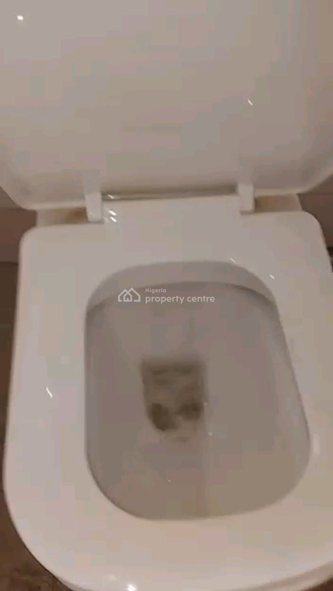 a Newly Built and Standard 2 Bedroom Apartment, Carwash Bus Stop, Oworonshoki, Shomolu, Lagos, Flat / Apartment for Rent