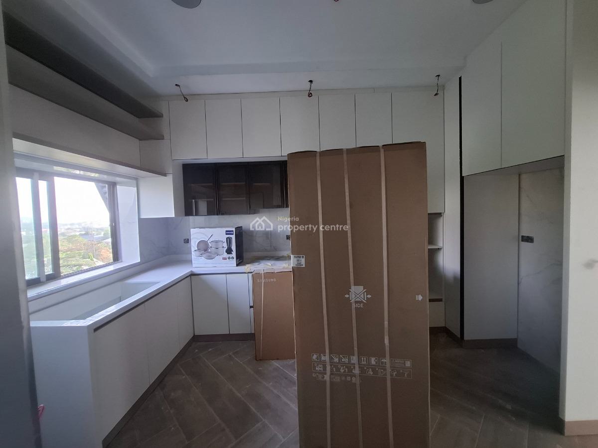 Luxury 2 Bedroom Penthouse, Maitama District, Abuja, Flat / Apartment for Rent